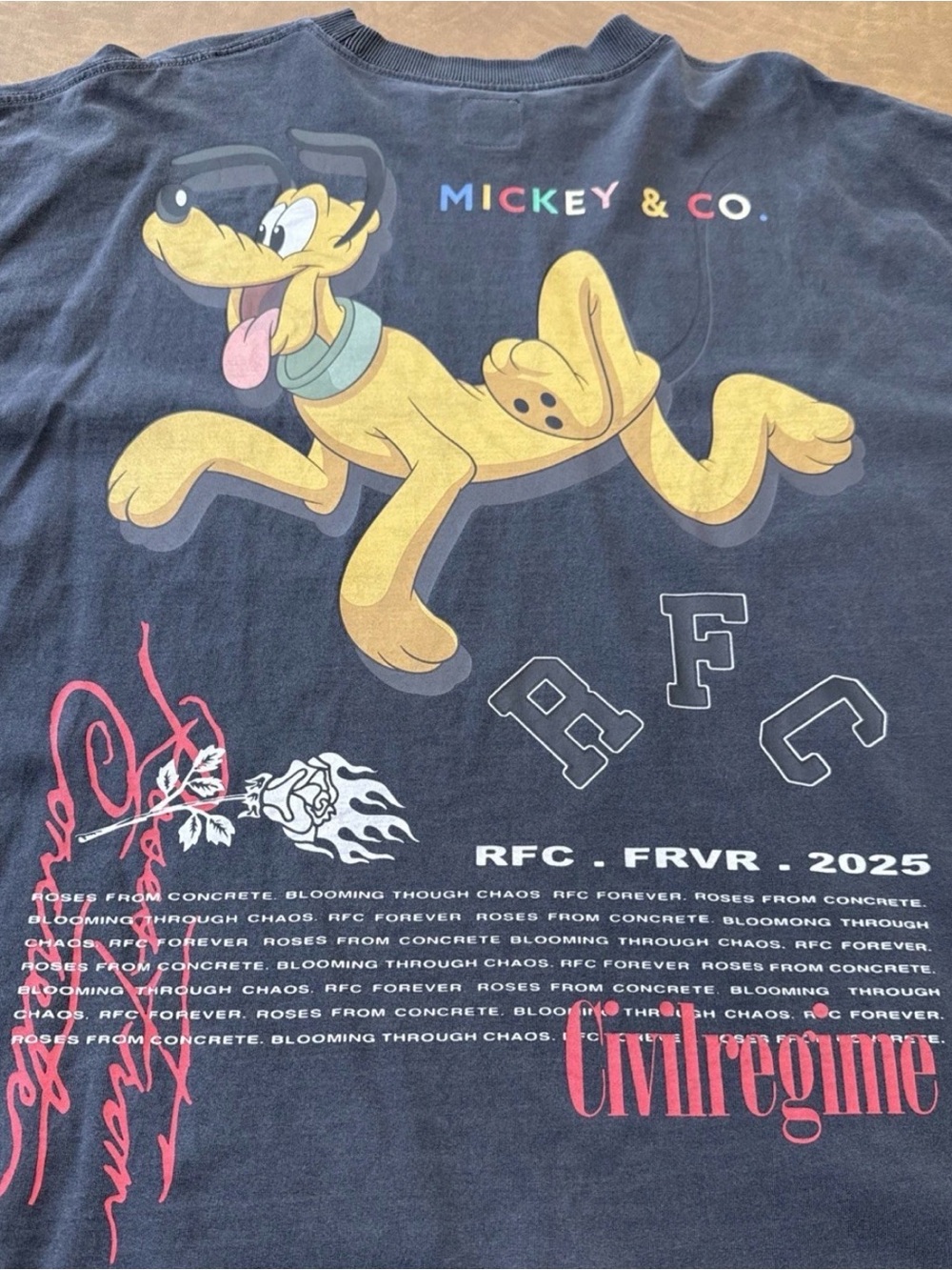 Civil Regime x Disney Mickey & Friends Men's L Graphic Tee Pluto Gray EUC